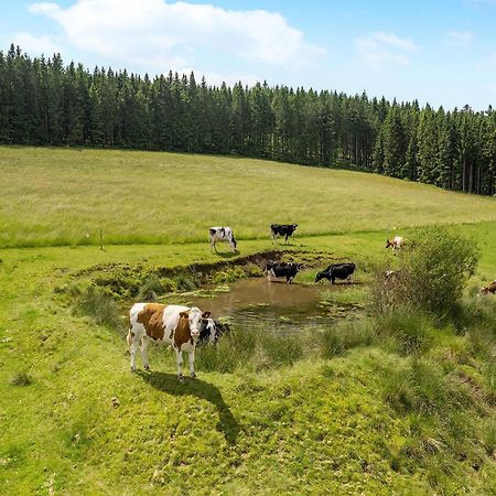 Ferienwohnung Duffner Schonach im Schwarzwald Dış mekan fotoğraf