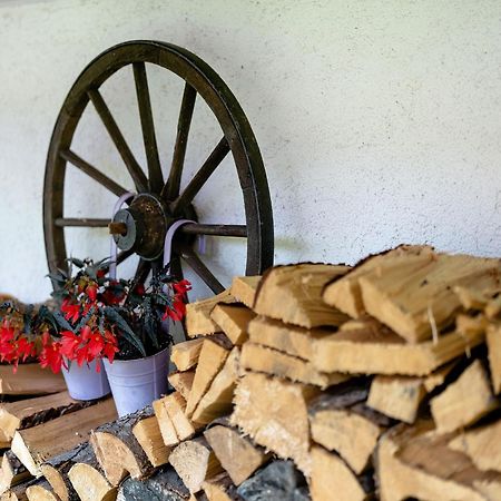 Ferienwohnung Duffner Schonach im Schwarzwald Dış mekan fotoğraf