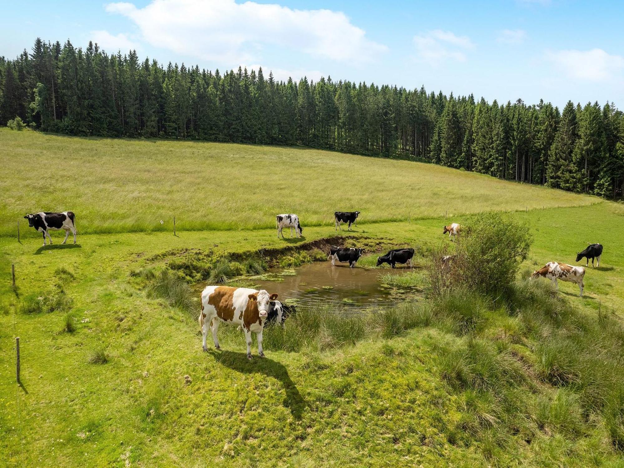 Ferienwohnung Duffner Schonach im Schwarzwald Dış mekan fotoğraf