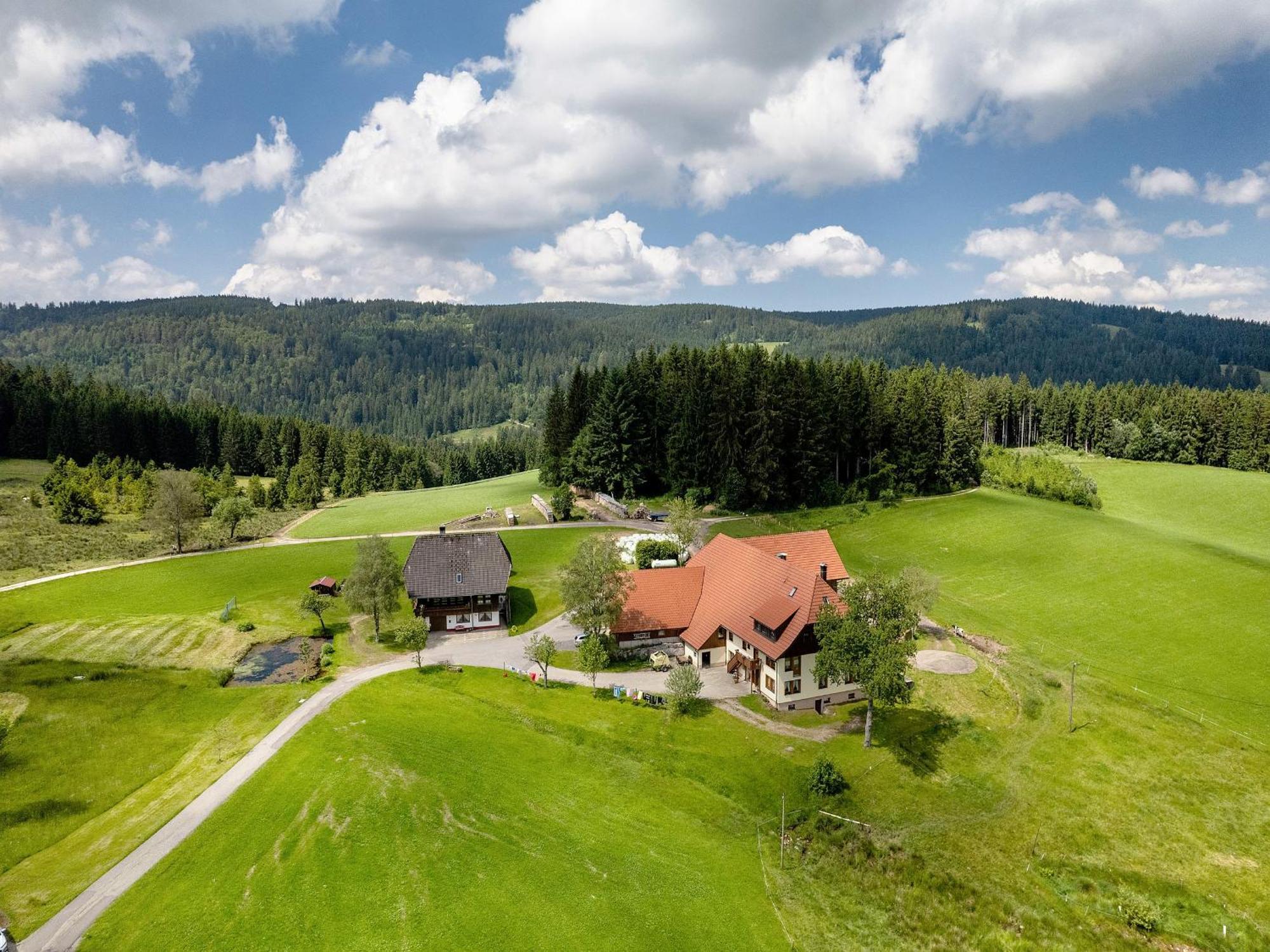 Ferienwohnung Duffner Schonach im Schwarzwald Dış mekan fotoğraf