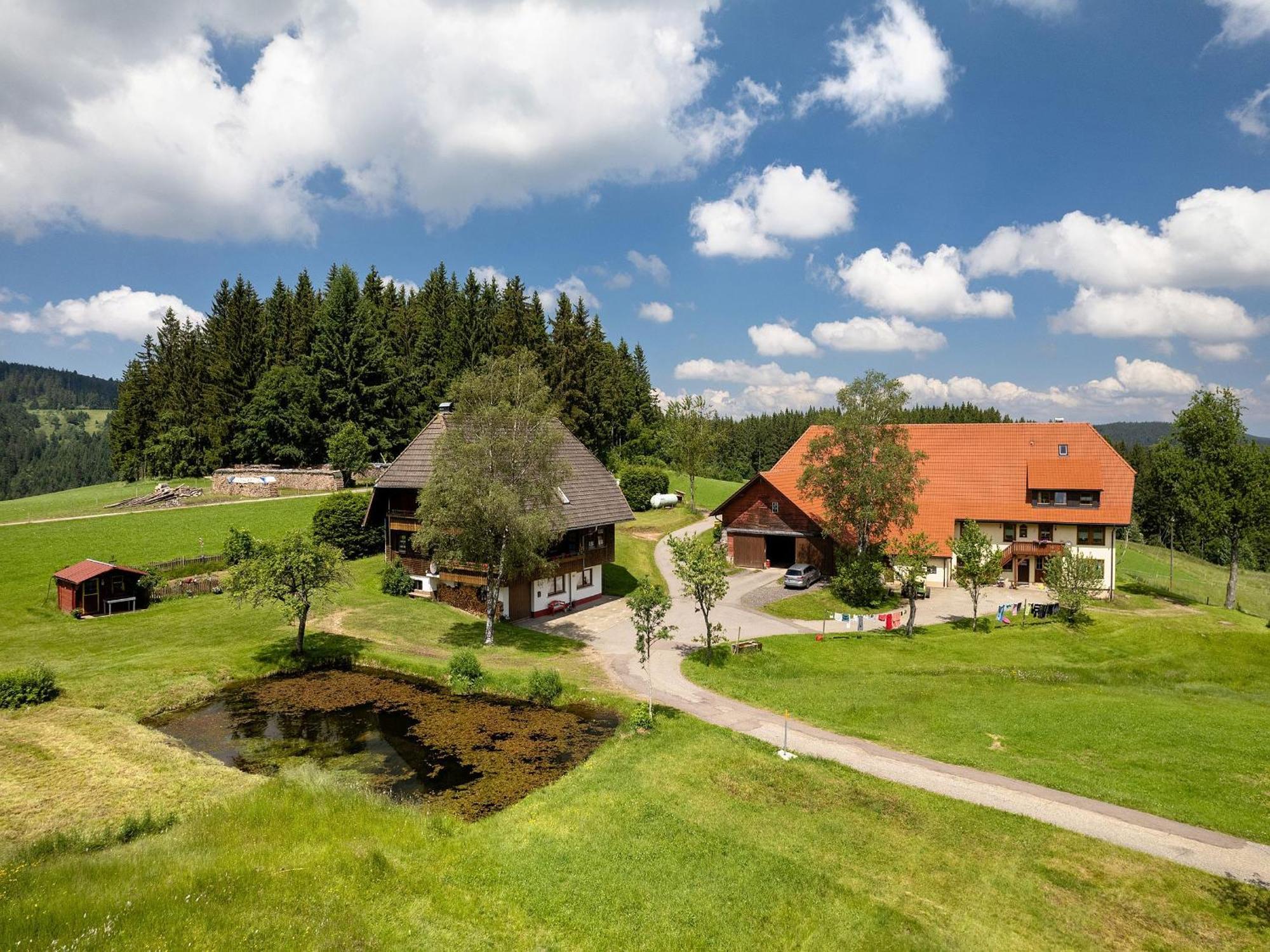 Ferienwohnung Duffner Schonach im Schwarzwald Dış mekan fotoğraf