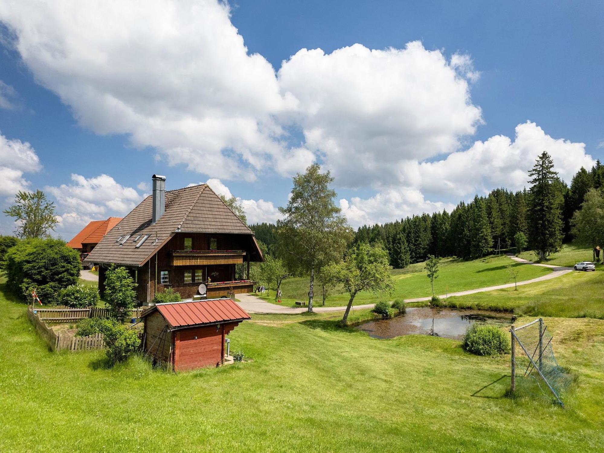 Ferienwohnung Duffner Schonach im Schwarzwald Dış mekan fotoğraf